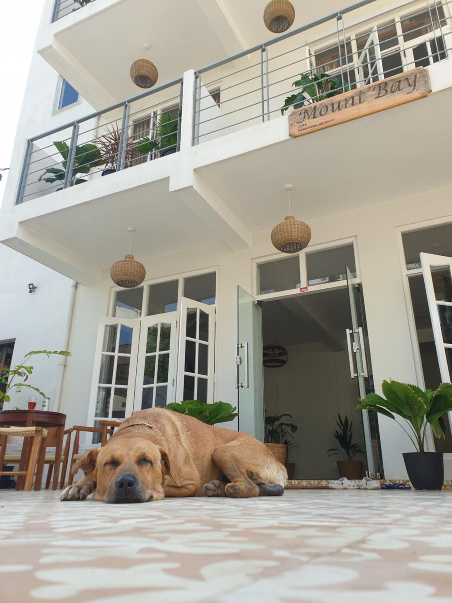 Mountbaylk Hotel Dehiwala-Mount Lavinia Exterior foto