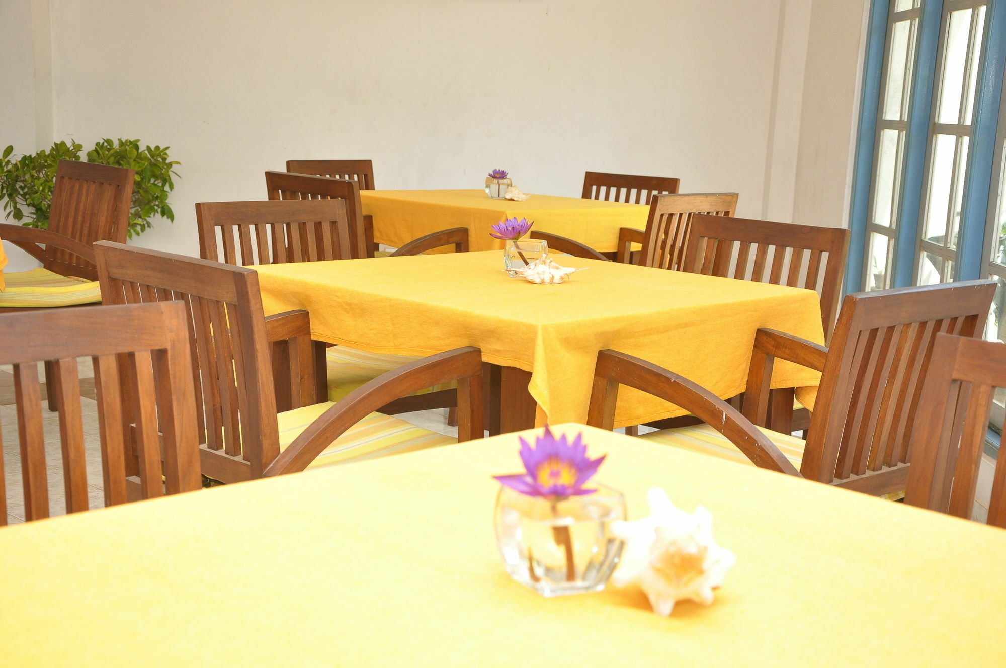 Mountbaylk Hotel Dehiwala-Mount Lavinia Exterior foto
